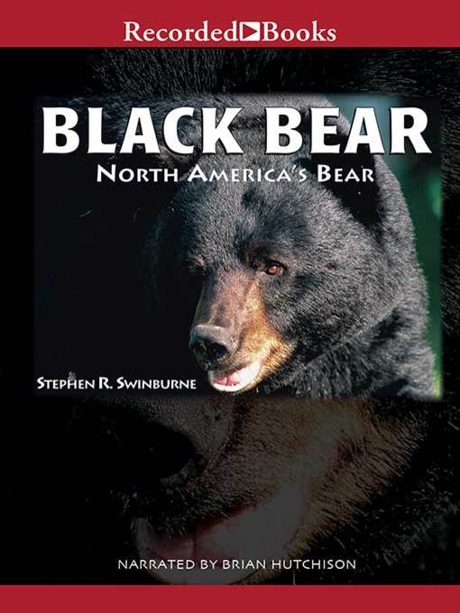 Title details for Black Bear by Stephen R. Swinburne - Wait list
